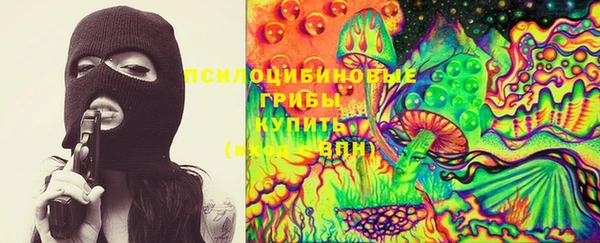 2c-b Белокуриха