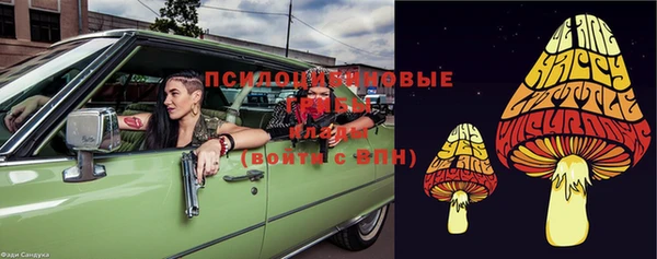 не бодяженный Богородицк