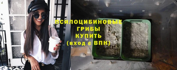не бодяженный Богородицк
