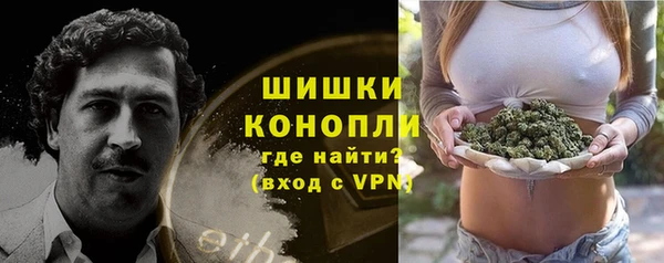 дживик Богородск
