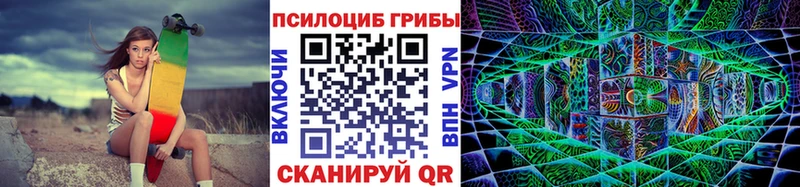 hydra как зайти  Калининск  Псилоцибиновые грибы прущие грибы 